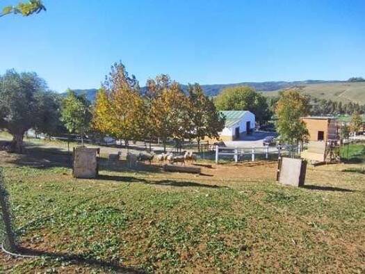 Haus zum Kauf 1.800.000 € 4 Zimmer 150 m² 61.000 m² Grundstück Jimena de la Frontera 11330