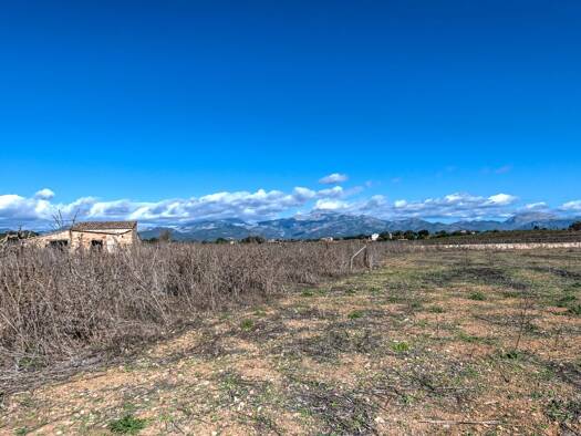 Grundstück zum Kauf provisionsfrei 995.000 € 19.347 m² Grundstück Costitx 07141