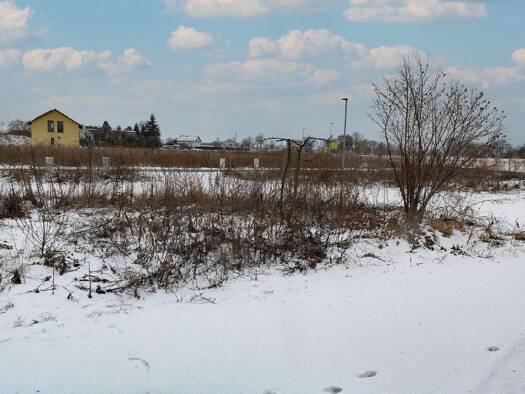 Grundstück zum Kauf 39.000 € 586 m² Grundstück Dahlen 04774