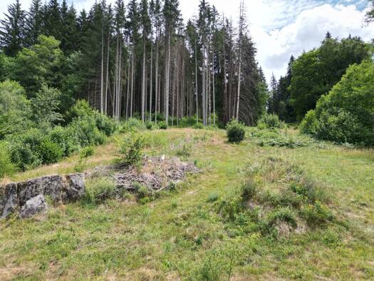 Grundstück zum Kauf 99.000 € 5.277 m² Grundstück St Blasien St. Blasien 79837