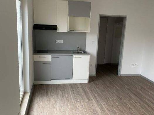 Wohnung zur Miete 350 € 1 Zimmer 25 m² frei ab sofort Mombachstraße 88 Rothenditmold Rothenditmold 34127