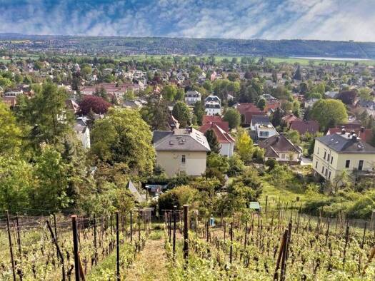 Mehrfamilienhaus zum Kauf als Kapitalanlage geeignet 799.000 € 326,6 m² 3.240 m² Grundstück Radebeul 01445