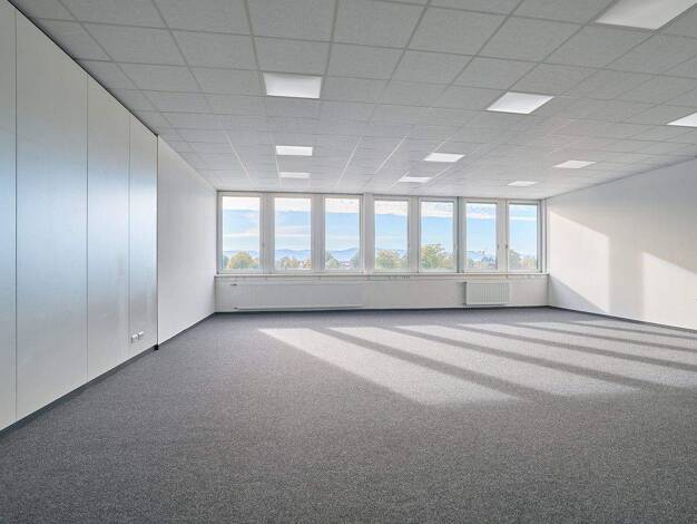Bürofläche zur Miete 6,90 € 624,5 m² Bürofläche teilbar ab 624,5 m² Tscheulinstr. 21 Teningen 79331