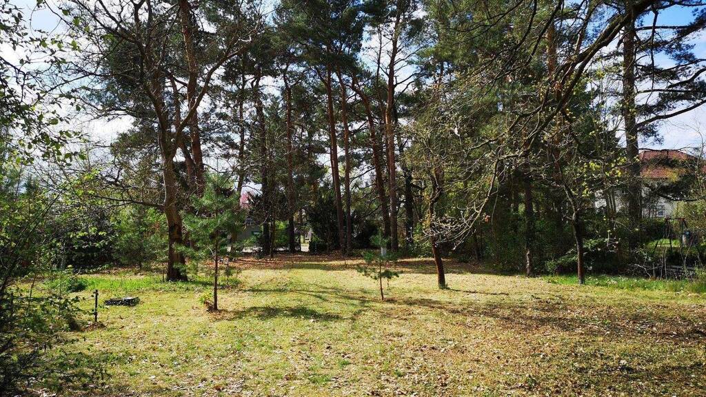 Grundstück zum Kauf provisionsfrei 550.000 € 1.136 m² Grundstück Grunowstr. 37 Mahlsdorf Berlin 12623