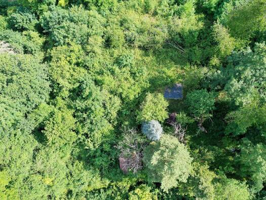 Sonstiges zum Kauf 30.000 € 1.177 m² Grundstück Höfingen Leonberg 71229