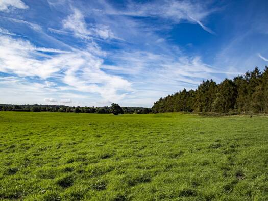 Grundstück zum Kauf 199.500 € 314 m² Grundstück Vardingholt Rhede 46414