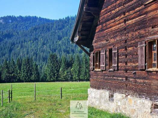 Gewerbegrundstück zum Kauf 1.981.360 m² Grundstück Sibratsgfäll 6952