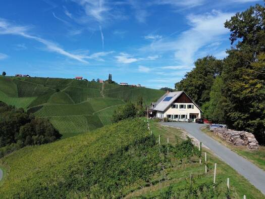 Einfamilienhaus zum Kauf 497.000 € 240 m² 31.139 m² Grundstück Gamlitz 8462