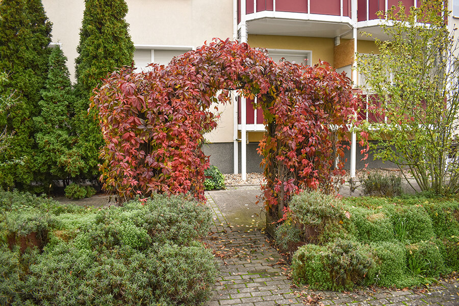 Mehrfamilienhaus zum Kauf als Kapitalanlage geeignet 980.000 € 1.389 m²<br/>Wohnfläche 2.200 m²<br/>Grundstück Plötzky Plötzky 39217