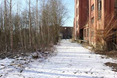 Gewerbegrundstück zum Kauf 120.000 € 3.975 m² Grundstück Reichenbach Reichenbach im Vogtland 08468