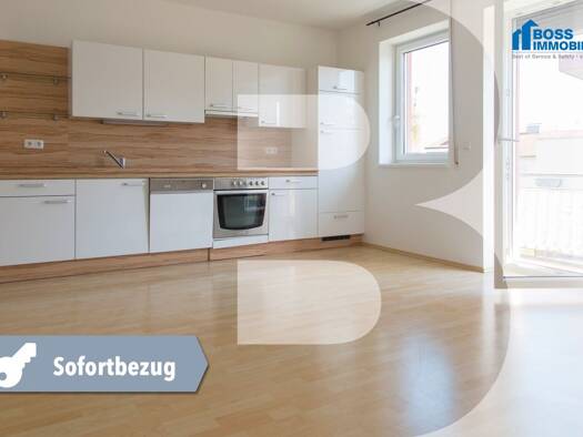 Wohnung zur Miete 497 € 2 Zimmer 54,6 m² 2. Geschoss Tassilostraße 7 Sattledt 4642