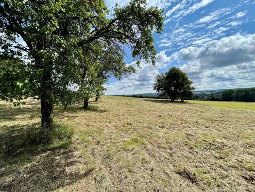 Grundstück zum Kauf 463.740 € 1.572 m² Grundstück Frömern Fröndenberg/Ruhr 58730