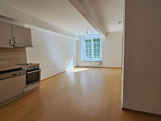 Wohnung zur Miete 310 € 2 Zimmer 75 m² EG Leopold Werndlstraße Steyr 4400