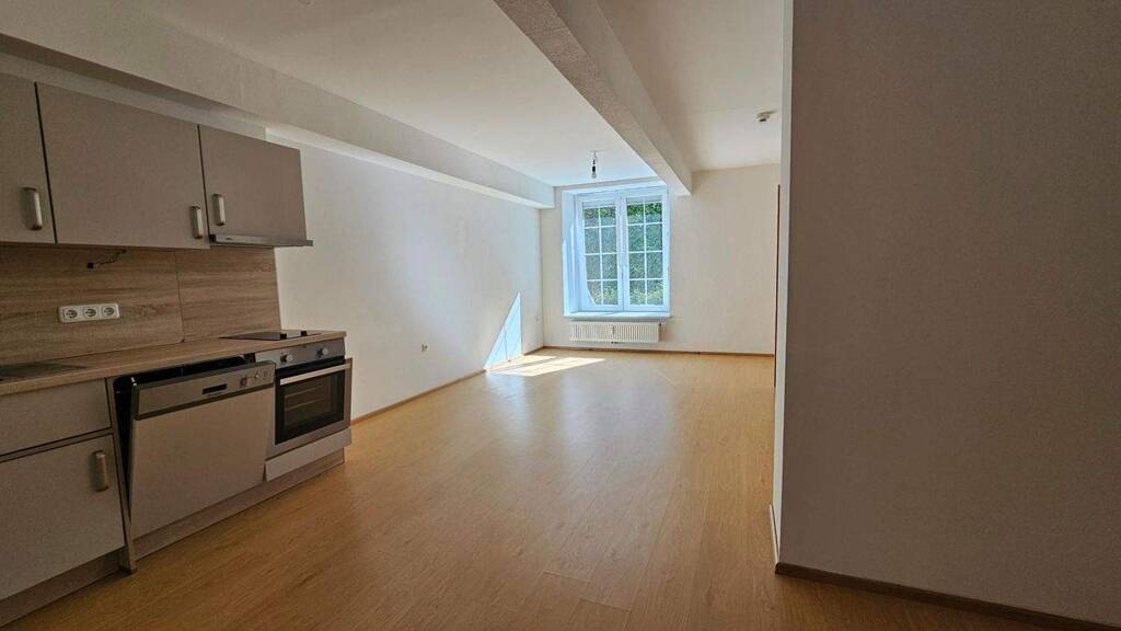 Wohnung zur Miete 310 € 2 Zimmer 75 m² EG Leopold Werndlstraße Steyr 4400