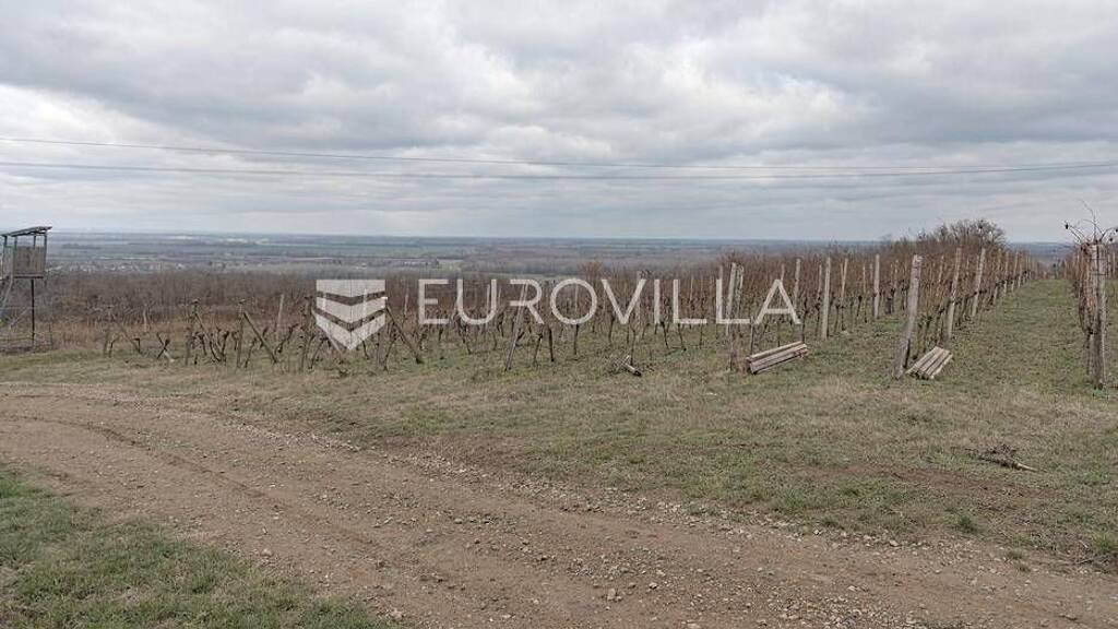 Büro zum Kauf 130.000 € 2 Zimmer Draz Draz