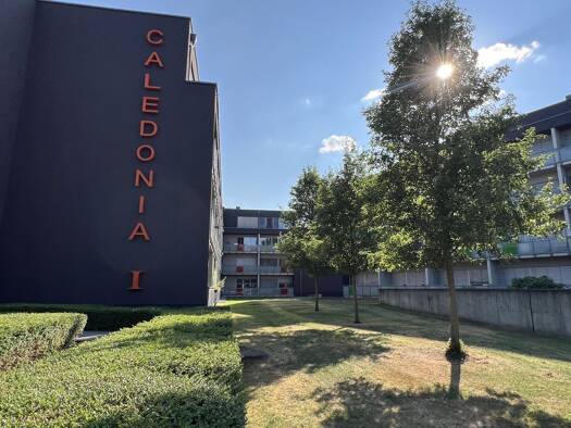 Wohnung zur Miete 483 € 1 Zimmer 31,2 m² 2. Geschoss frei ab 01.10.2026 Lehmkamp 2 Gievenbeck West 48161