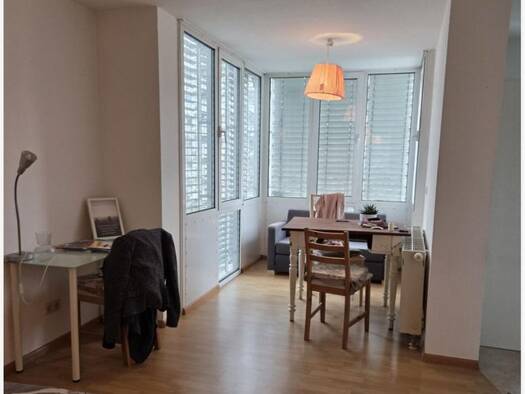 Wohnung zur Miete 500 € 1 Zimmer 28 m² frei ab 01.05.2026 Betzenhausen Freiburg im Breisgau 79110