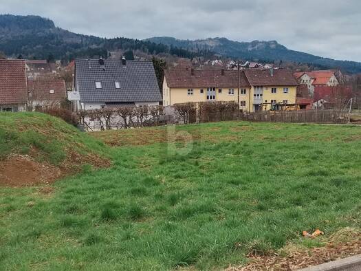 Grundstück zum Kauf 348 m² Grundstück Laufen Albstadt 72459