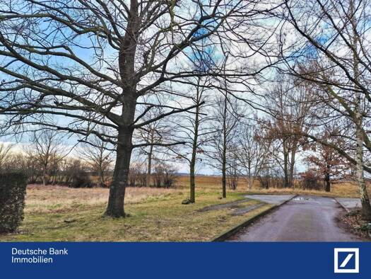 Grundstück zum Kauf provisionsfrei 99.000 € 2.926 m² Grundstück Großbadegast Südliches Anhalt 06369