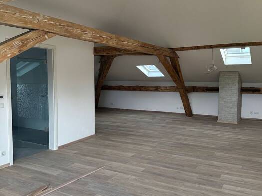 Atelier zur Miete provisionsfrei 2.021 € 161,5 m² Bürofläche Am Zwinger 2 Bamberg Bamberg 96047