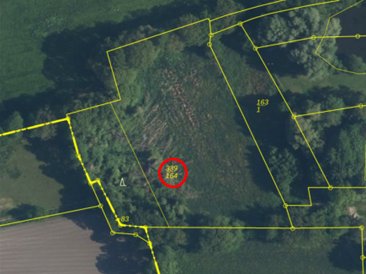 Land-/Forstwirtschaft zum Kauf provisionsfrei 7.000 € 7.185 m² Grundstück Steenfelde Westoverledingen 26810