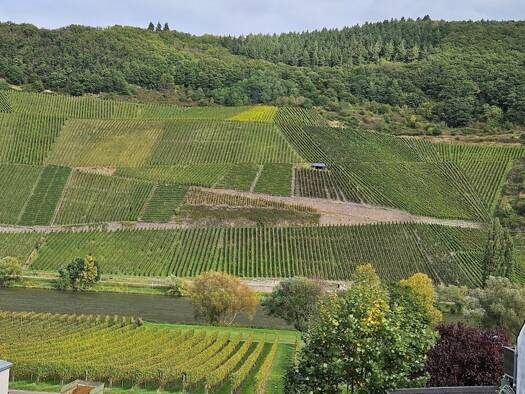 Terrassenwohnung zur Miete 625 € 2 Zimmer 56 m² Geschoss 1/3 frei ab 01.03.2026 Trittenheim 54349