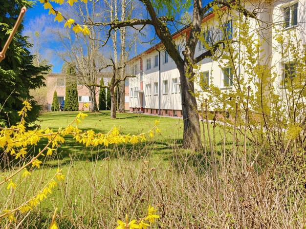 Wohnung zum Kauf 228.500 € 2 Zimmer 51,6 m² 1. Geschoss Lichtenrade Tempelhof-Schöneberg 12309