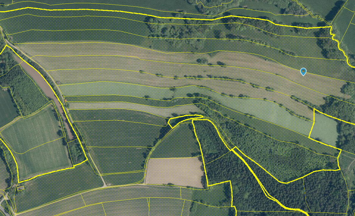 Land-/Forstwirtschaft zum Kauf 217.103 € 40.580 m²<br/>Grundstück Weiding Weiding 92557