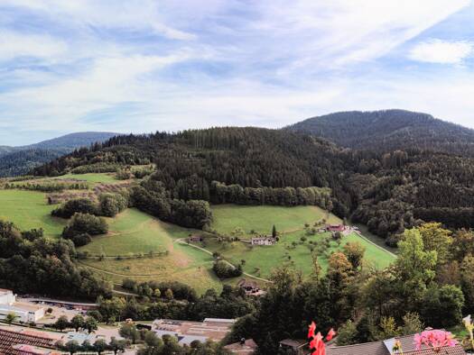 Haus zum Kauf 799.000 € 35 Zimmer 1.600 m² 2.500 m² Grundstück frei ab sofort Bad Peterstal Bad Peterstal-Griesbach 77740