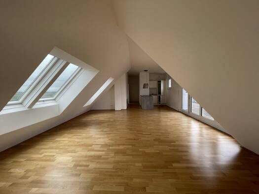 Wohnung zur Miete 1.195 € 3 Zimmer 101,8 m² frei ab sofort Stammersdorfer Straße Wien 1210