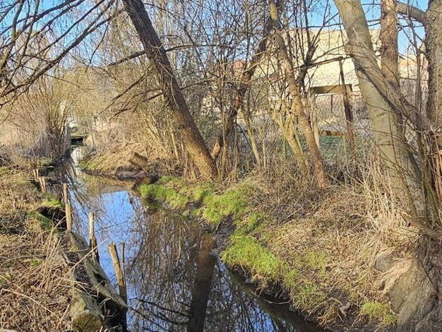 Grundstück zum Kauf provisionsfrei 97.950 € 4.340 m² Grundstück Berliner Chausee 5 Biesenthal 16359