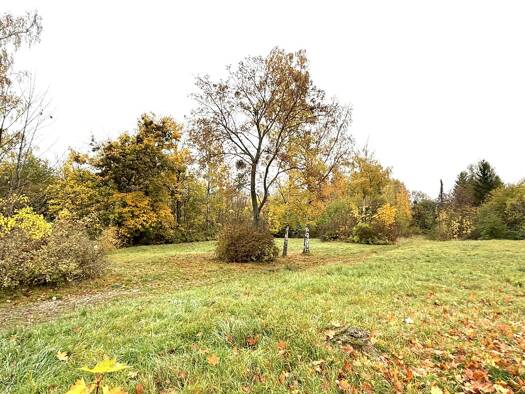 Grundstück zum Kauf 500.000 € 17.300 m² Grundstück Wernigerode Wernigerode 38855