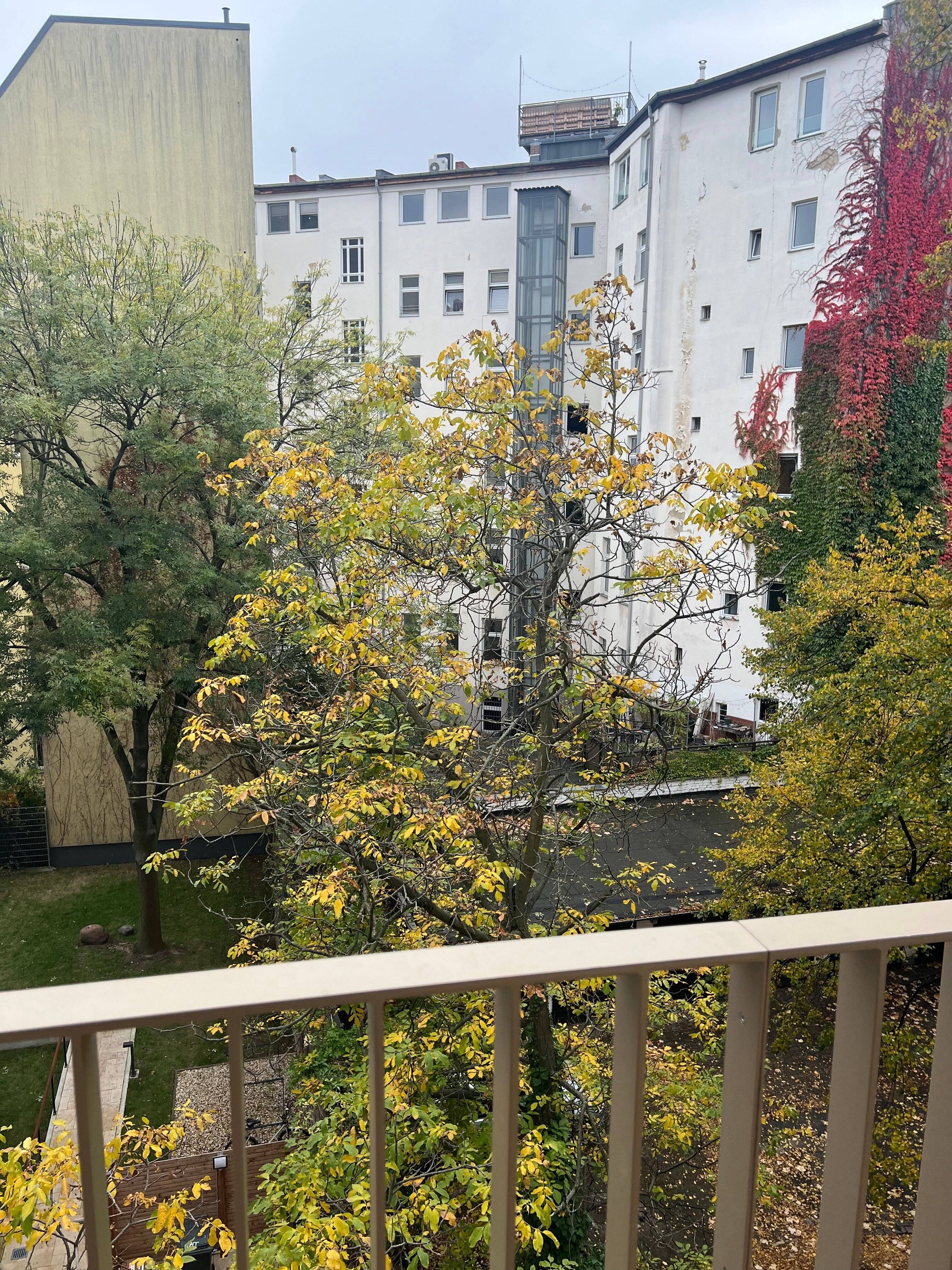 Property thumbnail 21