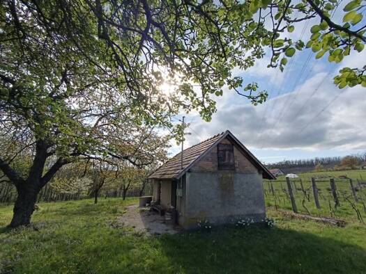 Bauernhaus zum Kauf provisionsfrei 30.000 € 2 Zimmer 30 m² 9.234 m² Grundstück frei ab sofort Zalacsány