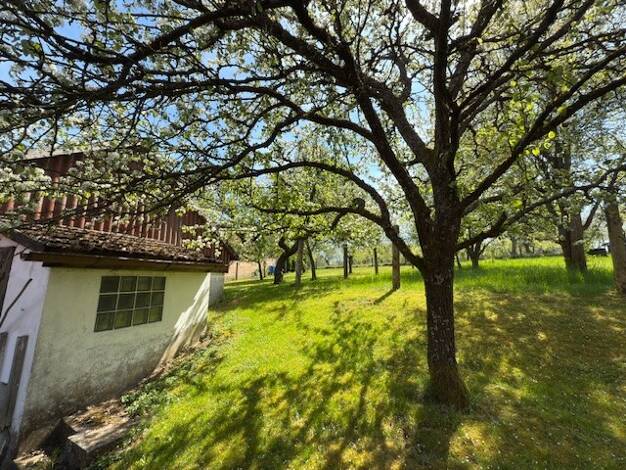 Haus zum Kauf 225.000 € 5 Zimmer 142 m² 1.142 m² Grundstück Ziegeleistr. 33 Regenthal Pottenstein 91278