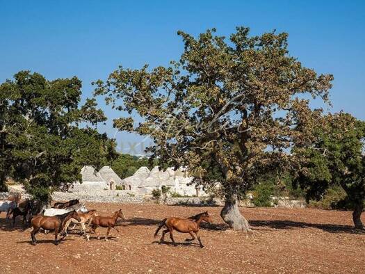 Einfamilienhaus zum Kauf 1.250.000 € 4 Zimmer 380 m² Cisternino 72014