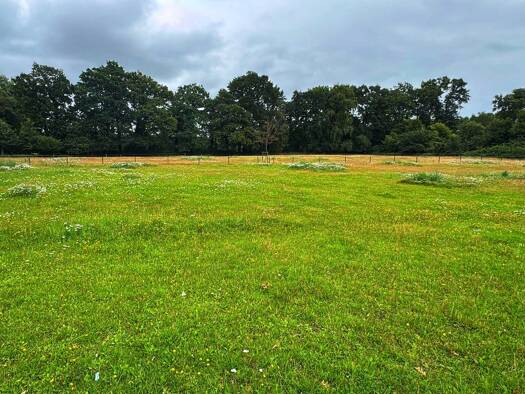 Wohnung zum Kauf 164 m² Wehdestraße 61 Donnerschwee Oldenburg 26127