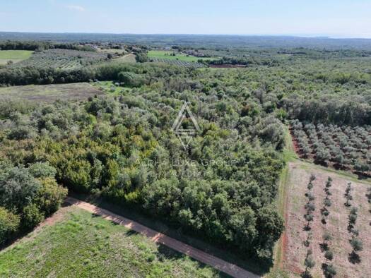 Acker-/Waldstück zum Kauf 1 € Kaštelir, Kaštelir-Labinci Kaštelir 52464