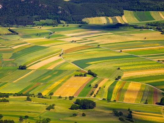 Landwirtschaftliche Fläche zum Kauf 80.000.000 m² Grundstück Walkertshofen Erdweg 85253