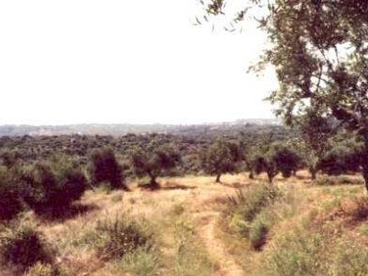 Grundstück zum Kauf 423.000 € 30.000 m² Grundstück Municipality of Kalamata neu