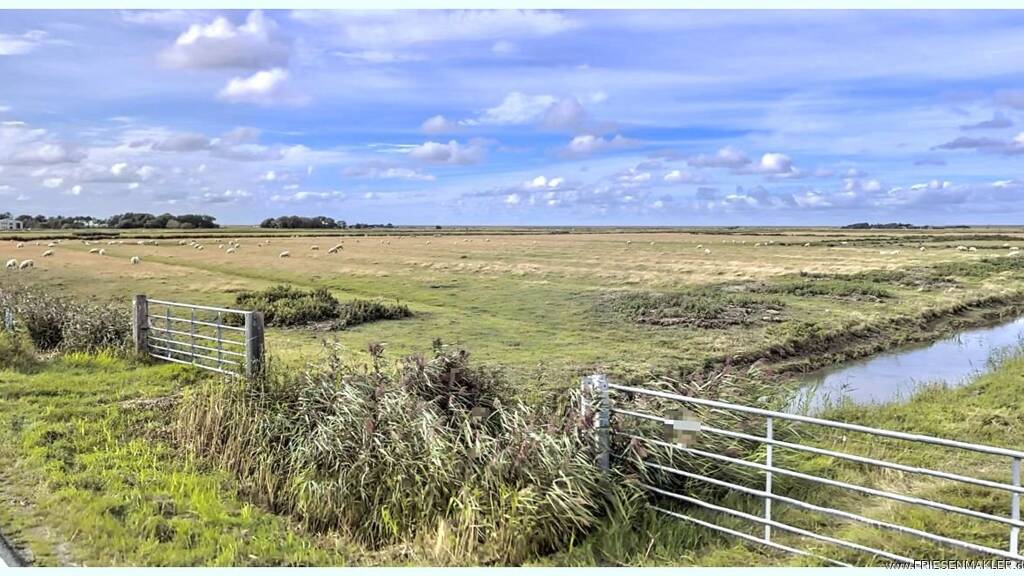 Land-/Forstwirtschaft zum Kauf provisionsfrei 136.206 m² Grundstück Westerhever 25881