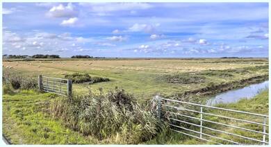 Land-/Forstwirtschaft zum Kauf provisionsfrei 136.206 m² Grundstück Westerhever 25881