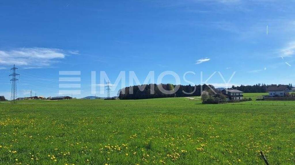 Grundstück zum Kauf 1.199.000 € 1.553 m² Grundstück Seekirchen am Wallersee 5201