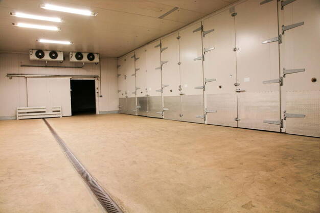 Lagerhalle zur Miete provisionsfrei 450 m² Lagerfläche Tegelberg 25 Bad Bramstedt 24576