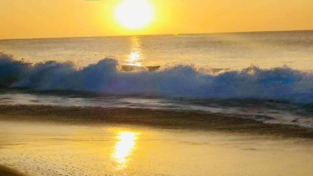 Studio zum Kauf 125.000 € 1 Zimmer 29 m² Büsum 25761