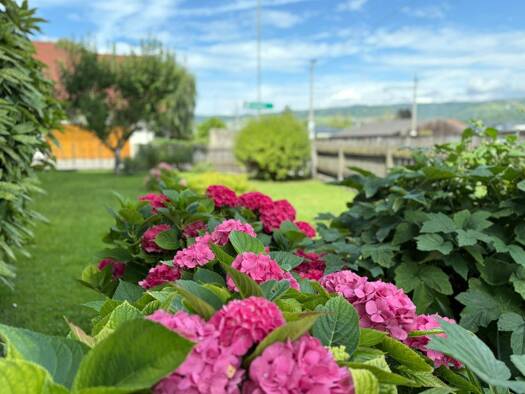 Einfamilienhaus zum Kauf 245.000 € 11 Zimmer 255 m² frei ab 15.06.2026 Krummnußbaum 3375