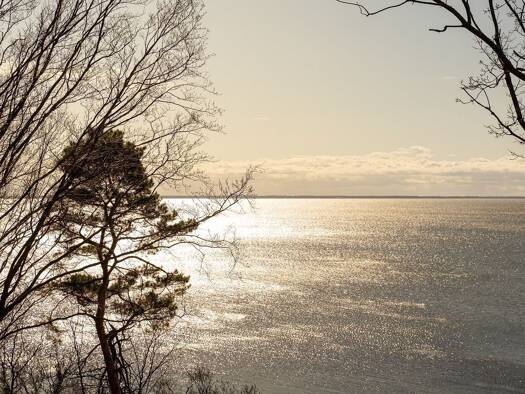 Immobilie zum Kauf als Kapitalanlage geeignet 665.000 € 107 m² An der Haffküste 6 f-g Garz 17419