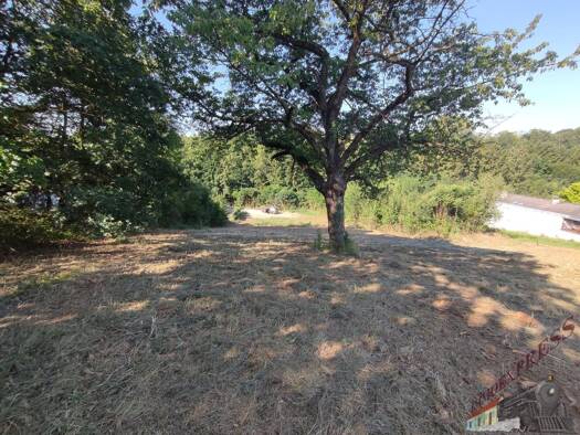 Grundstück zum Kauf 285.000 € 3.200 m² Grundstück Lanzenkirchen 2821
