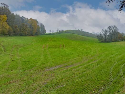 Land-/Forstwirtschaft zum Kauf 156.653 € 20.887 m² Grundstück Kößlarn 94149