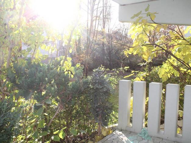 Terrassenwohnung zur Miete 920 € 1 Zimmer 33 m² EG frei ab 01.11.2026 Thalk.Obersendl.-Forsten-Fürstenr.-Solln München 81379